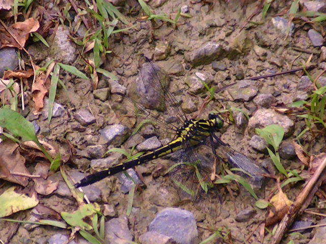 �`���E�`��