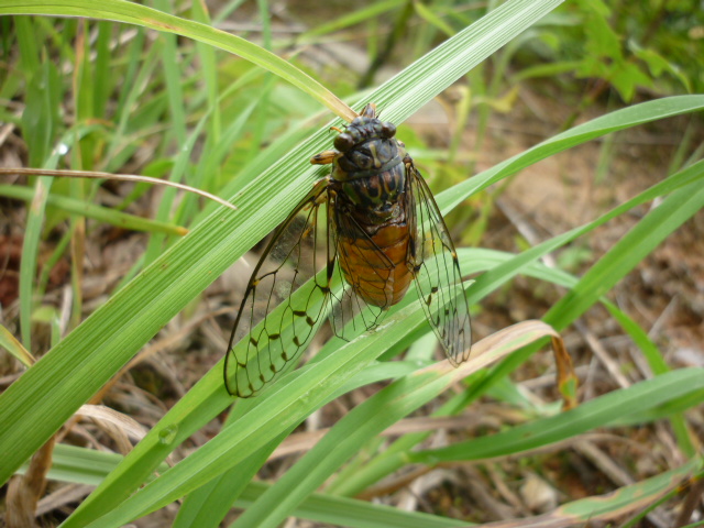 �`���E�`��