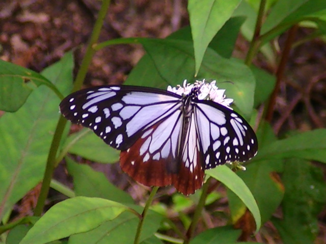 �`���E�`��