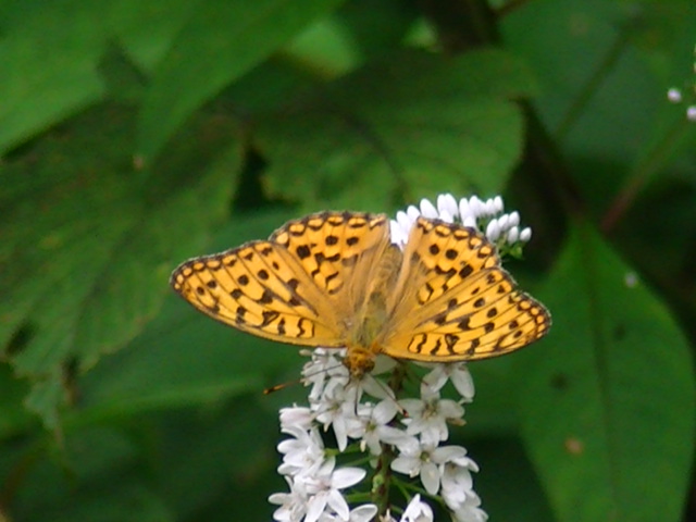 �`���E�`��