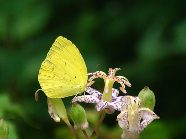 �`���E�`��