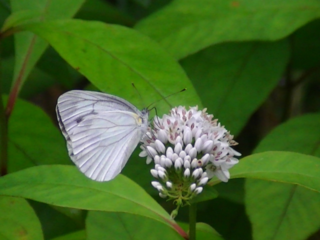 �`���E�`��