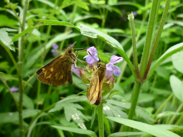 �`���E�`��