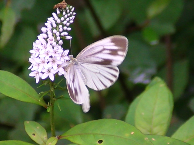 �`���E�`��