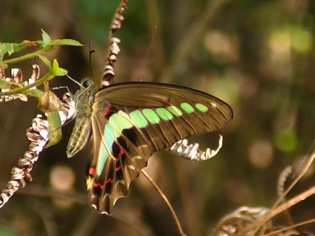 �`���E�`��