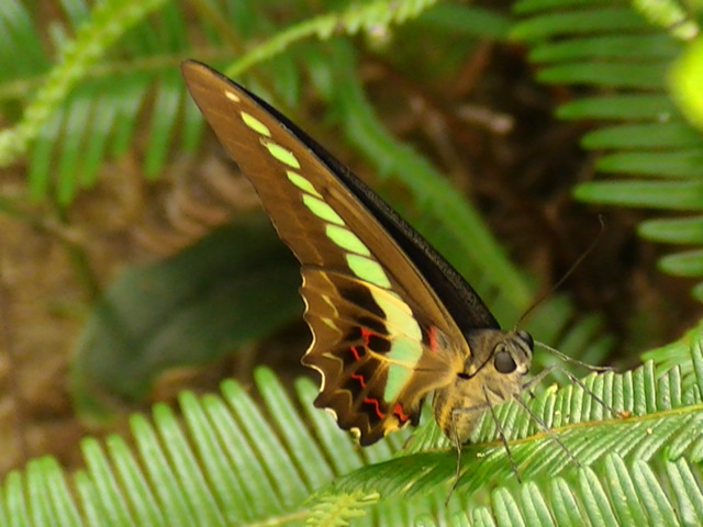 �`���E�`��