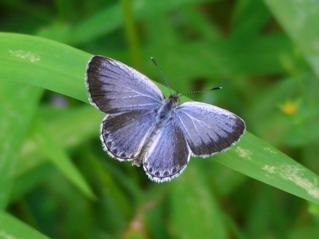 �`���E�`��