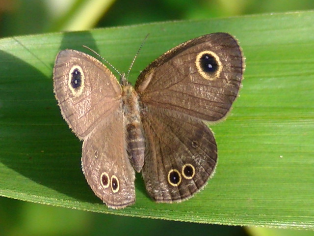 �`���E�`��