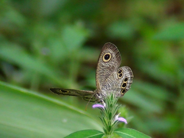 �`���E�`��