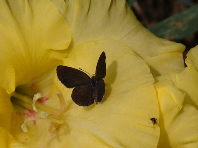 �`���E�`��