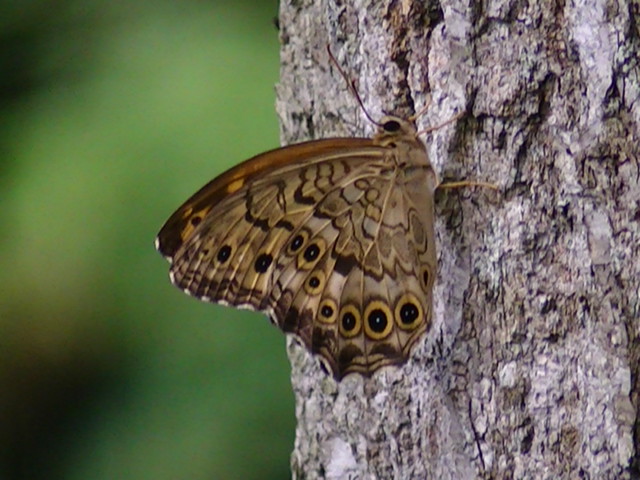 �`���E�`��