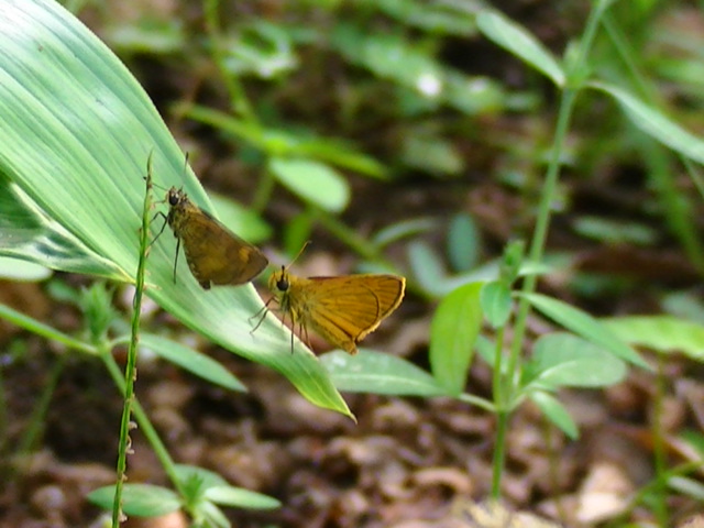 �`���E�`��