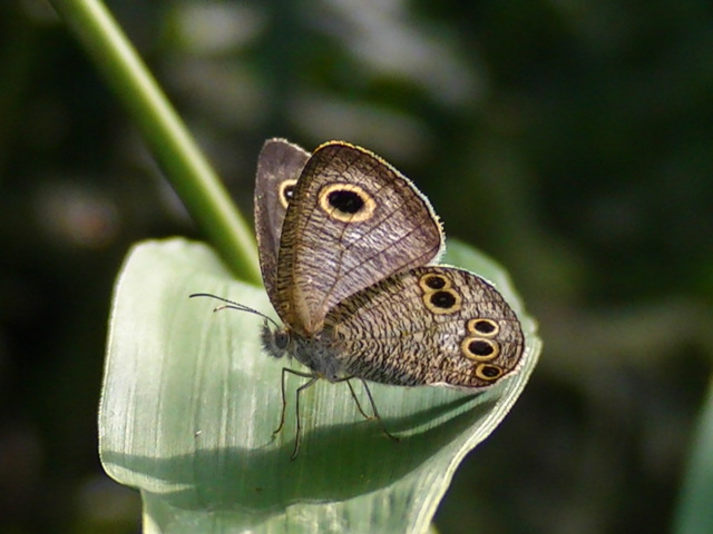 �`���E�`��