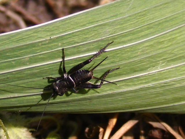 �`���E�`��