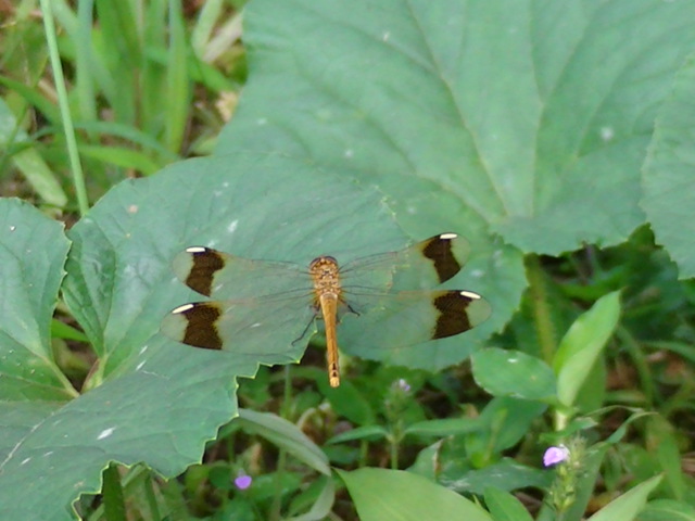 �`���E�`��