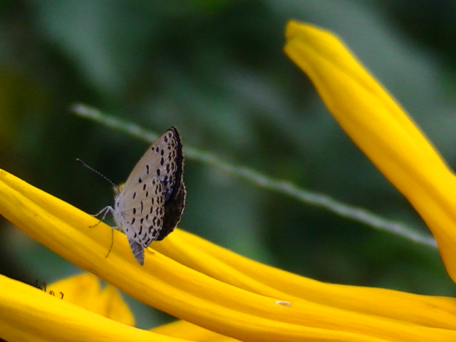 �`���E�`��