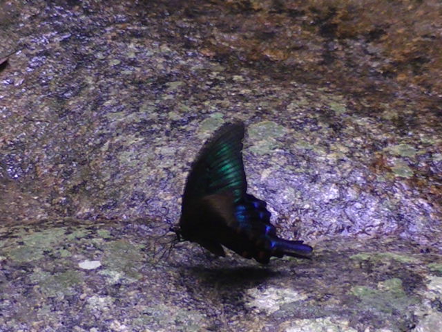 �`���E�`��