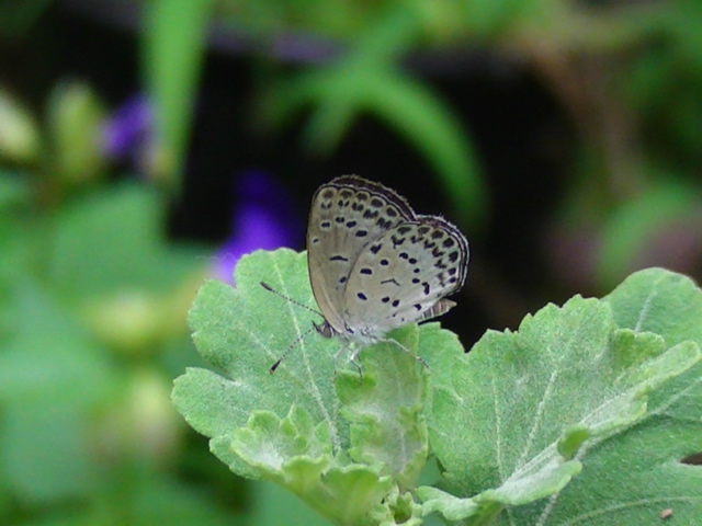 �`���E�`��