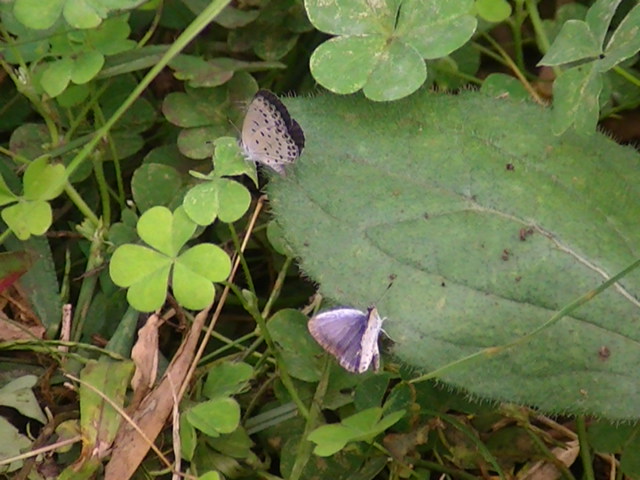 �`���E�`��