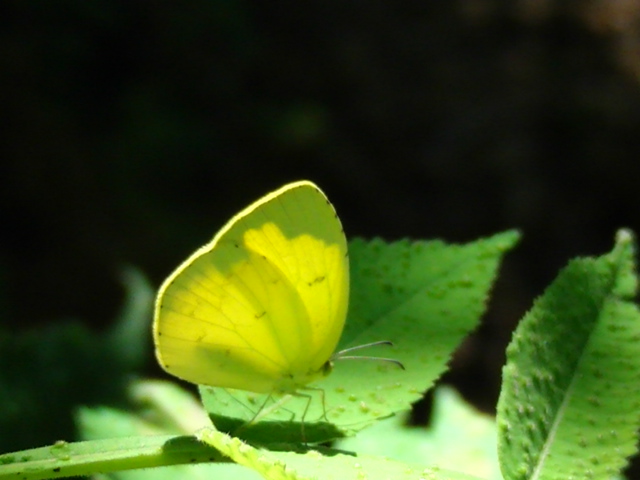 �`���E�`��