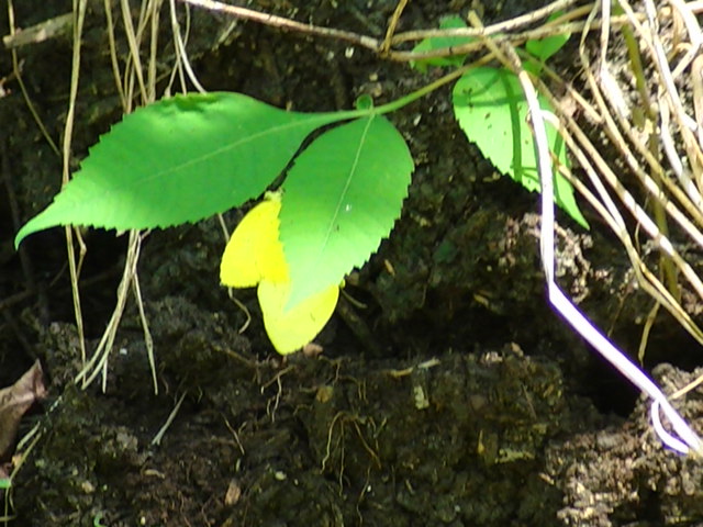 �`���E�`��