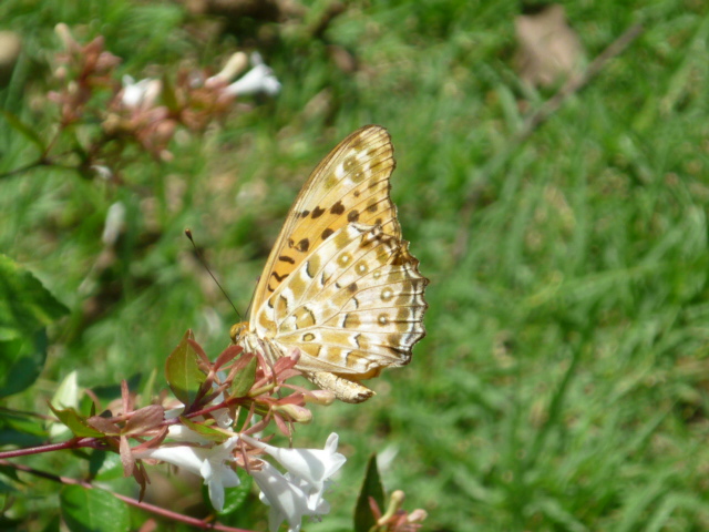 �`���E�`��