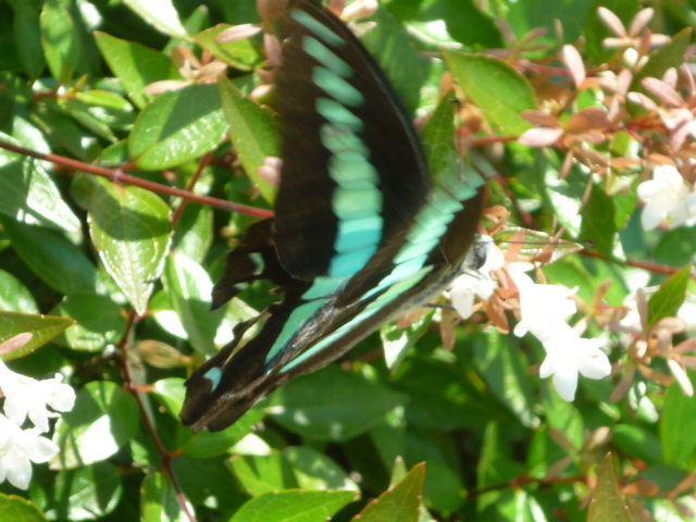 �`���E�`��