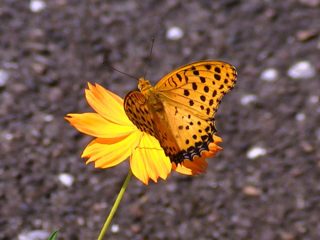 �`���E�`��