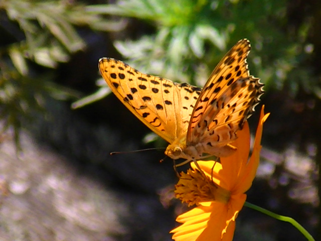 �`���E�`��