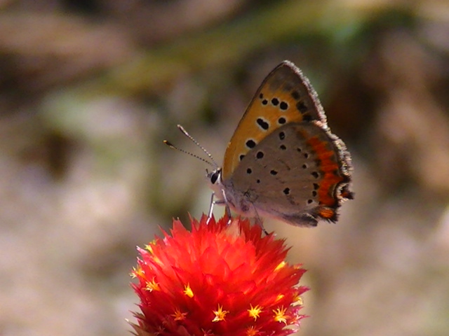 �`���E�`��