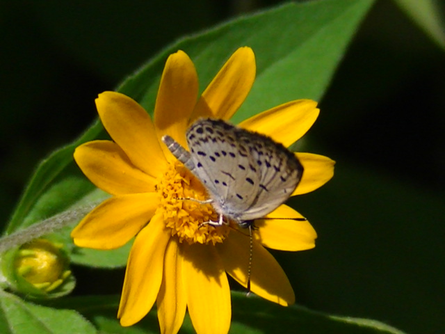 �`���E�`��