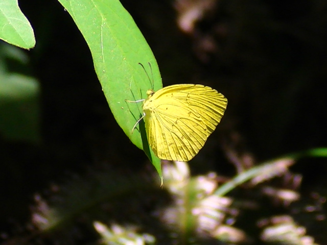 �`���E�`��