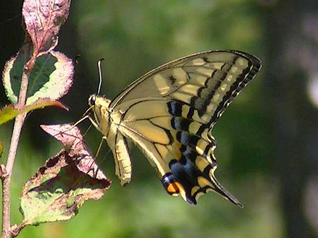 �`���E�`��