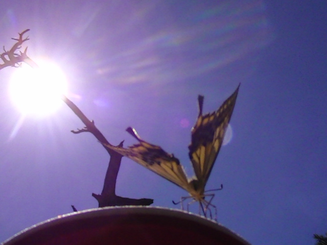 �`���E�`��