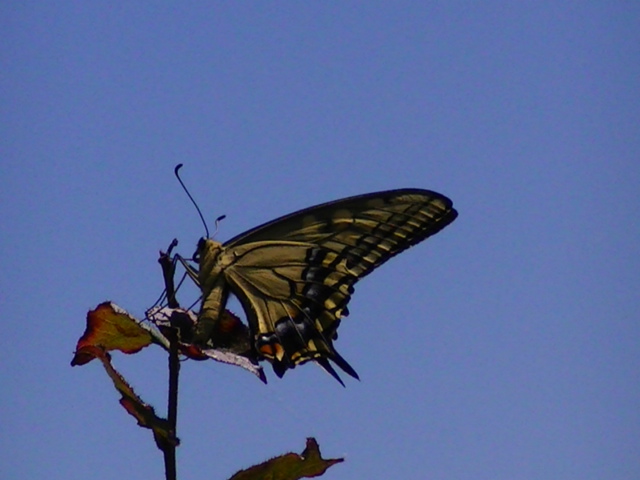 �`���E�`��