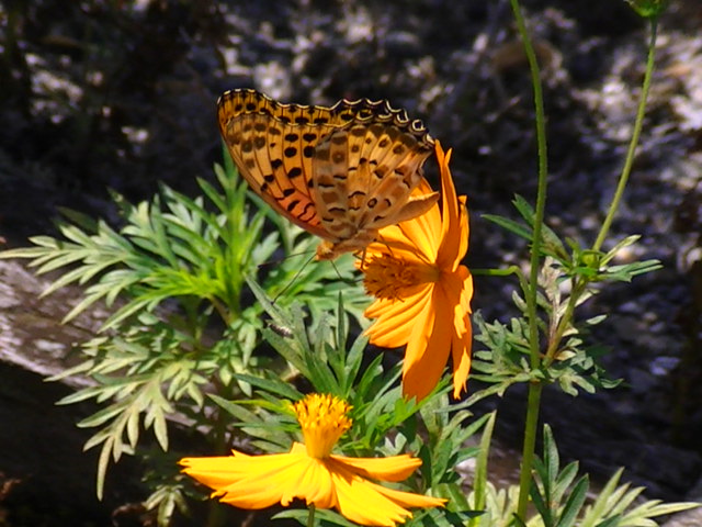 �`���E�`��