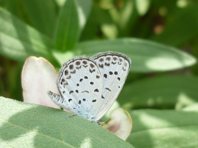 �`���E�`��