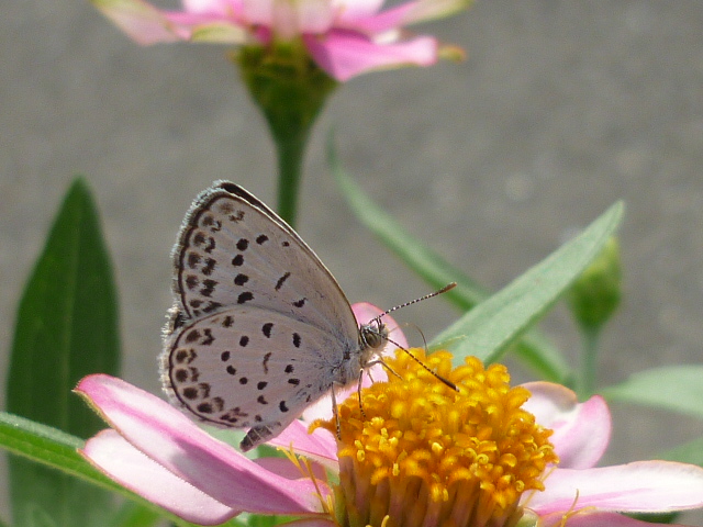 �`���E�`��