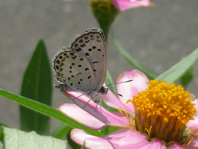 �`���E�`��