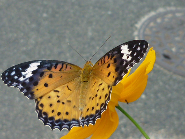 �`���E�`��