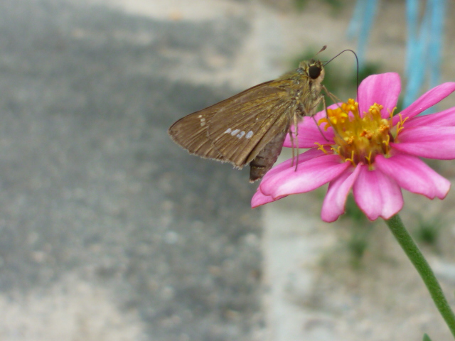 �`���E�`��