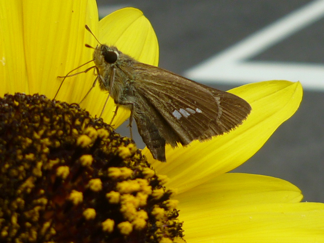 �`���E�`��