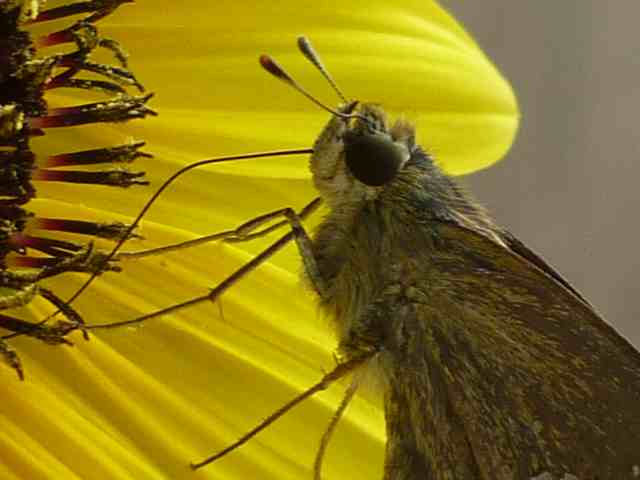 �`���E�`��