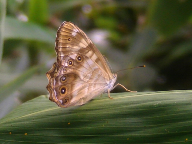 �`���E�`��