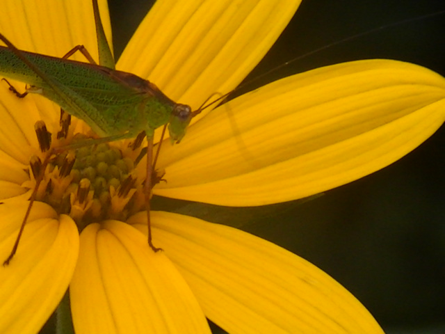 �`���E�`��