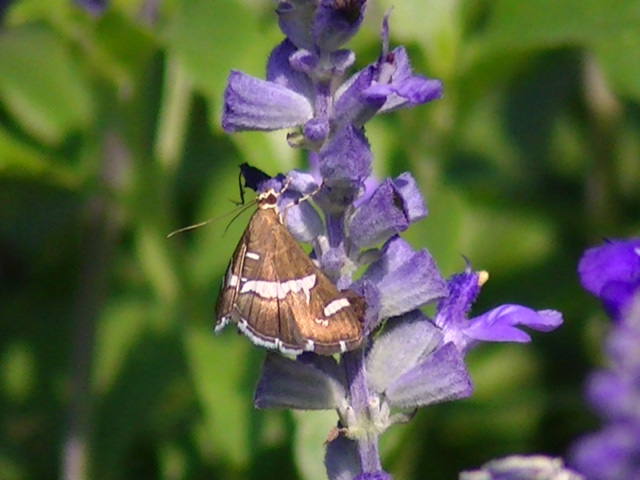 �`���E�`��