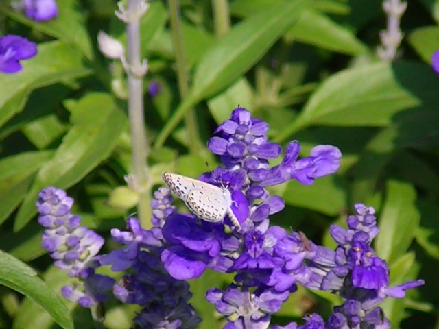 �`���E�`��