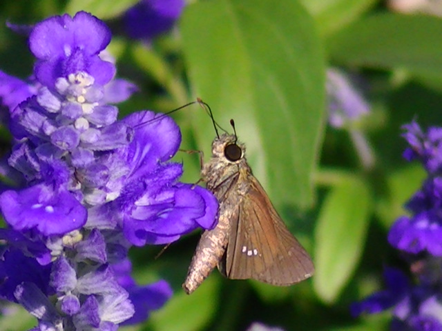 �`���E�`��