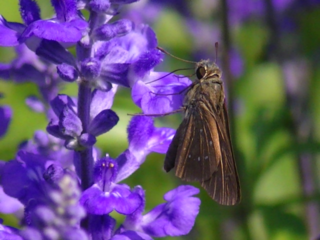 �`���E�`��