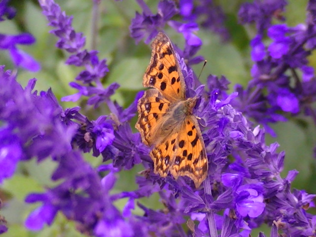 �`���E�`��